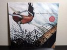CIRCA SURVIVE Juturna Orange and White Swirl with Blue Black Splatter Vinyl LP