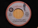 The Browne Brothers soul jazz 45 Took My Heart Away bw Paid My Dues on Hitman