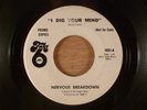 Nervous Breakdown I Dig Your Mind/(Same)  Promo RARE  Garage, Psych 1967 Take 6