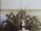 Birth Control-Operation German hard rock prog lp reissue brand new