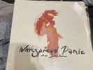 Widespread Panic Free Somehow RARE 2LP NEW Sealed Vinyl Record First Press