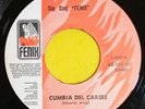 SUPER CONJUNTO FENIX - CUMBIA DEL CARIBE / TEMA INDIO  45RPM  (listen )