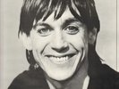 Iggy Pop Lust For Life Virgin America Vinyl LP