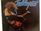 TED NUGENT (AMBOY DUKES) SELF TITLED LP EPIC RECORDS 1975 PE33692 VG/ VG