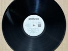 Mother Earth - The People Tree Vinyl LP Album. JAZIDLP 83  UK 1993