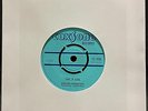 Jamaican Foundations / The Viceroys – Take It Cool / Try Hard To Leave – USED Vi