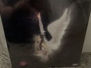 Nessa Barrett - Young Forever (Pink Colored Vinyl LP w/ Signed Insert)