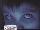 Porcupine Tree 2-LP  (Double ) Fear Of A Blank Planet - Pink V