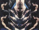 Siouxsie & The Banshees The Scream - Punk Art Sleeve 7