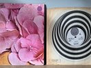 RARE STILL LIFE 1971 UK VERTIGO SWIRL ORIGINAL 1st PROG PSYCH VINYL LP Free P&P