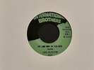 Rare Soul Funk Lee Austin Put Something On Your Mind International Brothers EX