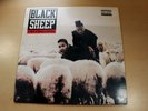 Black Sheep/A Wolf In Sheep's Clothing/1991 Mercury Vinyl LP/USA Issue