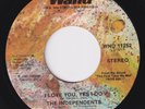 INDEPENDENTS I Love You, Yes I Do VINYL  *not styrene* northern soul 45 LISTEN