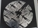 muse absolution xx Box Set