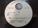 DAVID SYLVIAN GONE TO EARTH INSTRUMENTAL LP US TEST PRESSING ROBERT FRIPP RARE