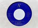 Michigan Garage 45 THE RATIONALS Look What You're Doin / Gave My Love ORIG NM