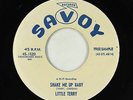 Blues R&B 45 - Little Terry - Shake Me Up Baby - Savoy