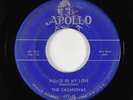 Doo-Wop R&B Rocker 45 - Casanovas - Please Be My Love - Apollo