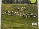 Andreas Dorau 40 Frauen / Im September Vinyl Record 12” 33 RPM Mute 2005