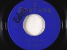 Doo-Wop/R&B 45 - Delteens - Listen To The Rain/Love Me - Fortune - VG+
