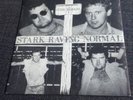 The Blood - Stark Raving Normal 7
