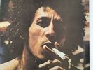 bob marley and the wailers Catch A Fire vinyl LP Record