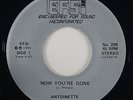 Antoinette 