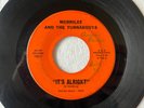 MERRILEE & THE TURNABOUTS It's Alright/Party Song RU-RO 0411 orig NW Garage 1965