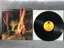 Echo and the Bunnymen Crocodiles 1980 LP Sire SRK 6096 •  Inner Sleeve • VG+