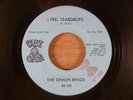 The Onion Rings I Feel Teardrops/She's Gonna Cry  Promo Garage 1967 Blue Onion