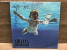 Nirvana Nevermind Vinyl LP Reissue Repress Ltd Ed Silver Record 2019 Target Excl