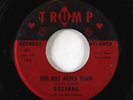 Rockabilly Garage 45 - Suzanne w/ Band-Aides - You May Never Know - Trump