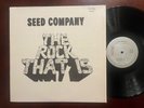 SEED COMPANY - THE ROCK THAT IS - 1980 TRANSWORLD RECORDS FUNK SOUL FOLK GOSPEL