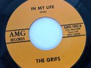 The Grifs - Catch A Ride - AMG 1002 - Michigan Garage / Psych / Punk 1966 VG++