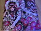 Baroness  – Red Album Signed By john baizley Double Vinyl 2xLP
