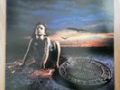 [VG+] Steelheart - Tangled In Reins (1992 Korea LP Rare 8 Tracks Vinyl)