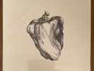 Ween - White Pepper - 180 Gram White Vinyl LP Plain Recordings NEW Sealed