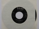 RAY JOHNSON Shake A Little Bit Original US 45 Goad RnB BLUES 7”