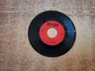 RARE 1960s VG The Rave-Ons – The Line/BABY DON'T LOVE ME 9016 45