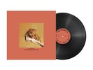 The Frights - YOU ARE GOING TO HATE THIS - Vinyl LP - NEW & SEALED