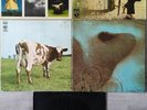 5 Pink Floyd Vinyl LP's 
