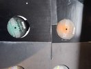 Bundle Of 6 Smitten 12