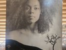 Dizzy Gillespie, Portrait Of Jenny, 1970 1st Perception Stereo, PLP-13, VG+/VG