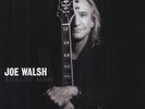 Joe Walsh - Analog Man 180 Gram Audiophile Vinyl LP Edition (New/Sealed)