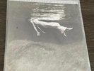 BILL EVANS & JIM HALL – UNDERCURRENT – MOBILE FIDELITY SOUND LAB #11648 – SEALED