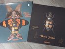 Courteeners LP More Again Forever  Orange Vinyl, Sealed with Signed art card