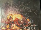 Electric Sandwich - Vinyl Lp 1972  Krautrock Jazzrock Brain1018