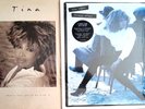 TINA TURNER What's Love Got to do With it 1993 EU LP & Foreign Affair NEW EU 2LP