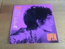 BRIAN AUGER JULIE DRISCOLL AND THE TRINITY Open LP 1967 VGC+/EXC  Marmalade