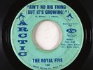 Crossover Soul 45 - Royal Five - Ain't No Big Thing - Arctic